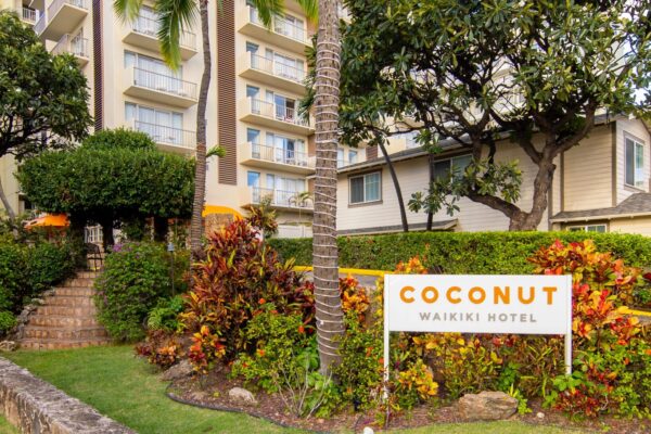 Coconut Waikiki